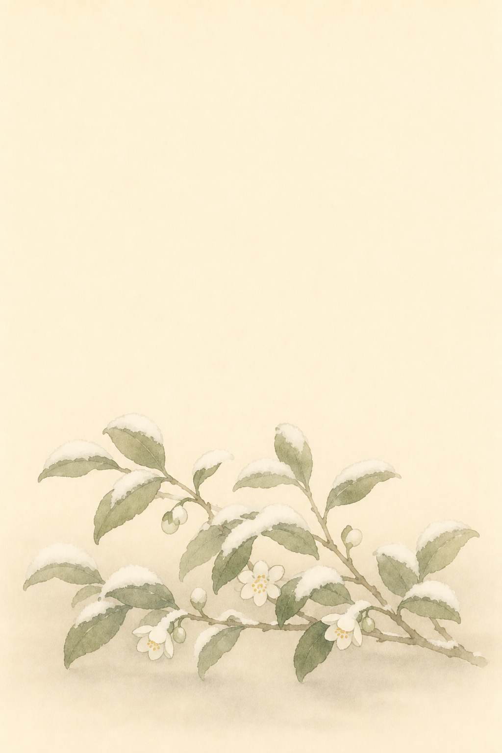 雪傘積恋歌 雪をかぶる茶の花